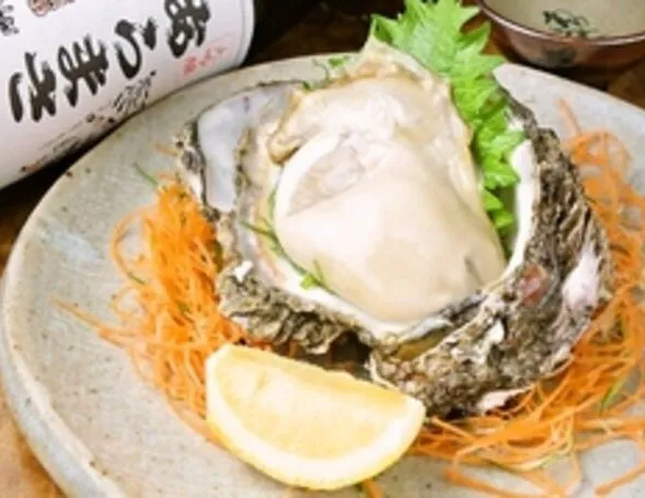 浅草の鉄板焼き系すてぇき屋すきずきで味わう旬の〝岩ガキ〟