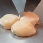 魚介